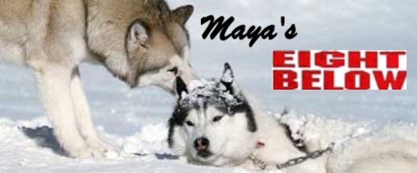 Watch Eight Below Streaming